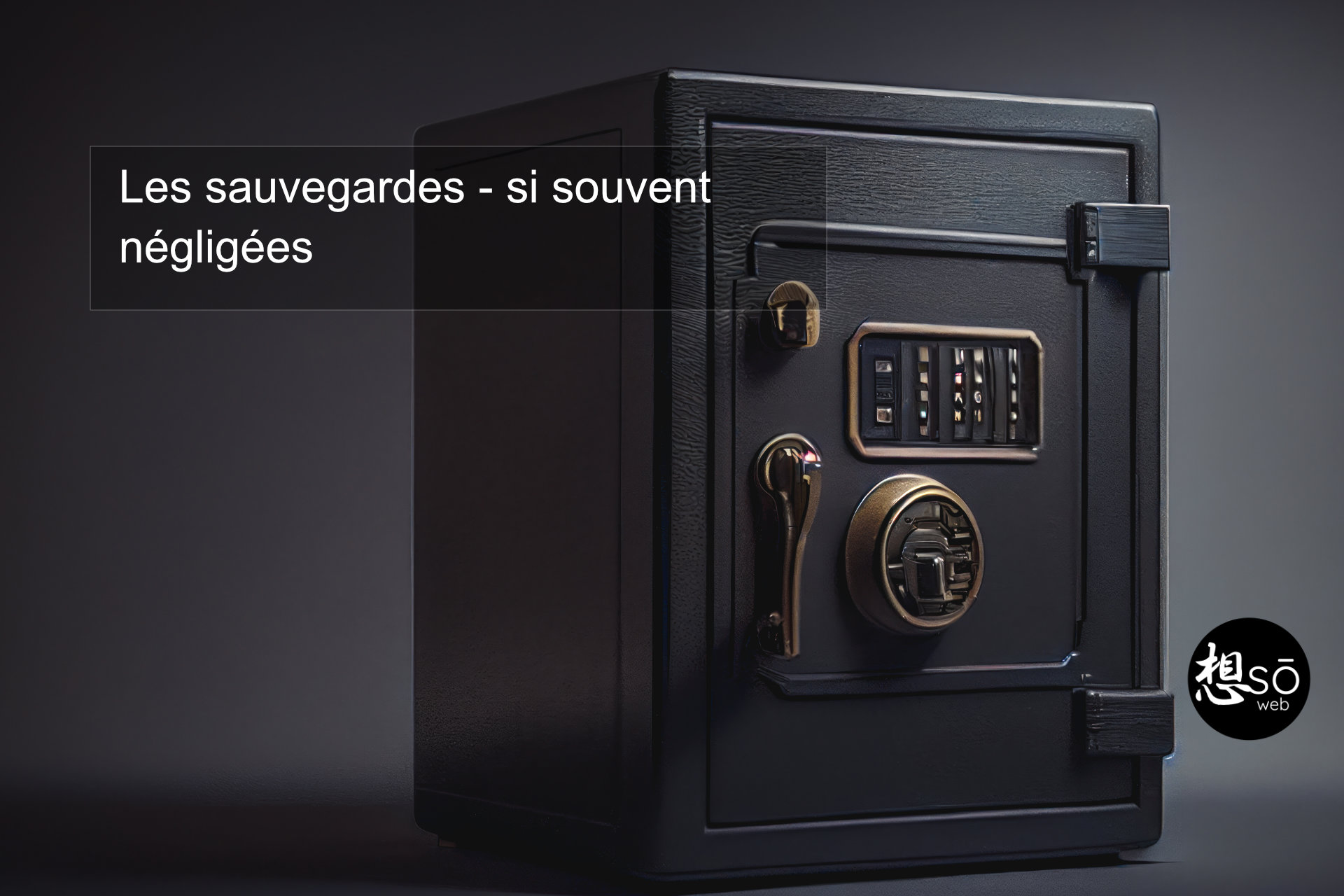 Les sauvegardes
