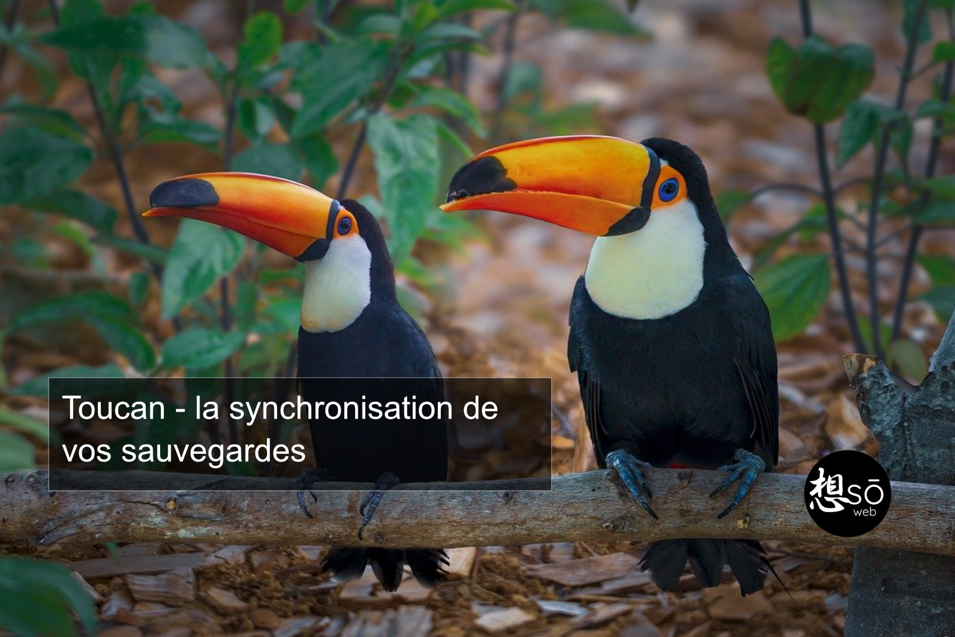 Toucan – la synchronisation de vos sauvegardes
