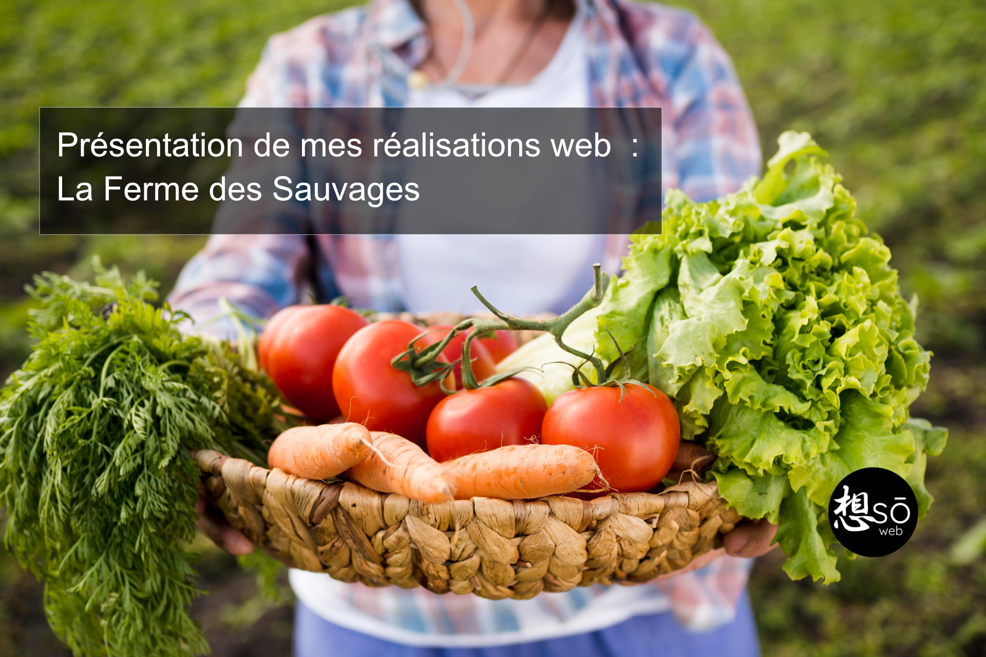 Présentation de mes réalisations web : La ferme des Sauvages