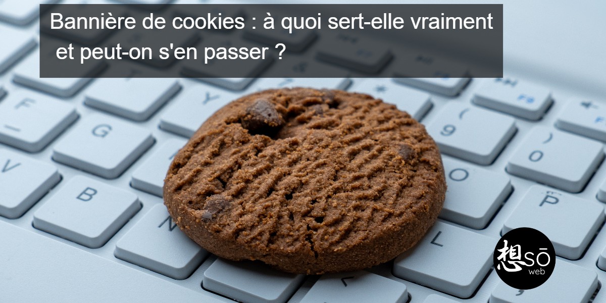 Bannière de cookies : à quoi sert-elle vraiment et peut-on s’en passer ?